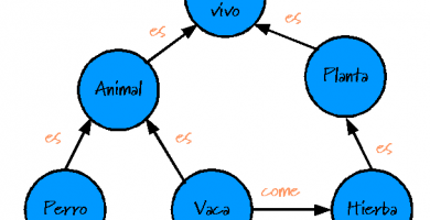 mapa conceptual